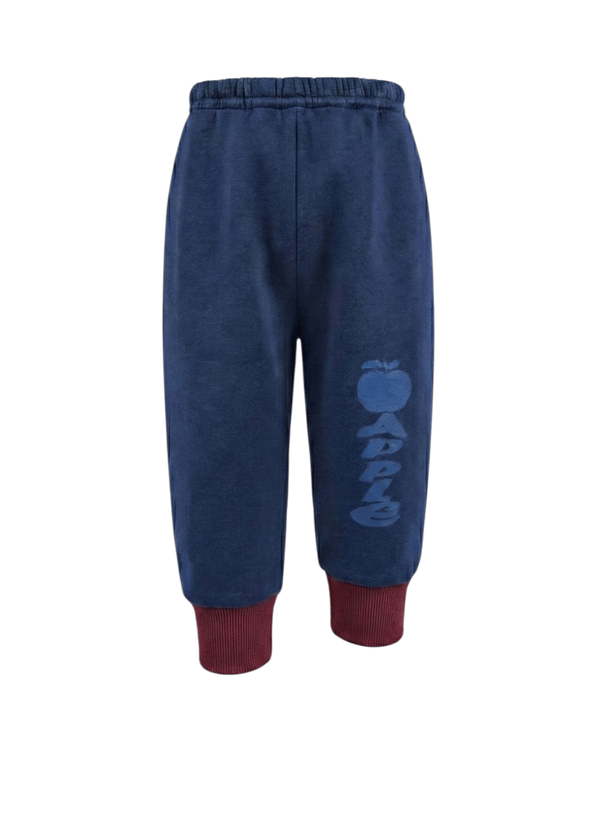 Pack of 10 Baby Boys Cotton Blend Trackpant ( Multicolor ) - Image 3