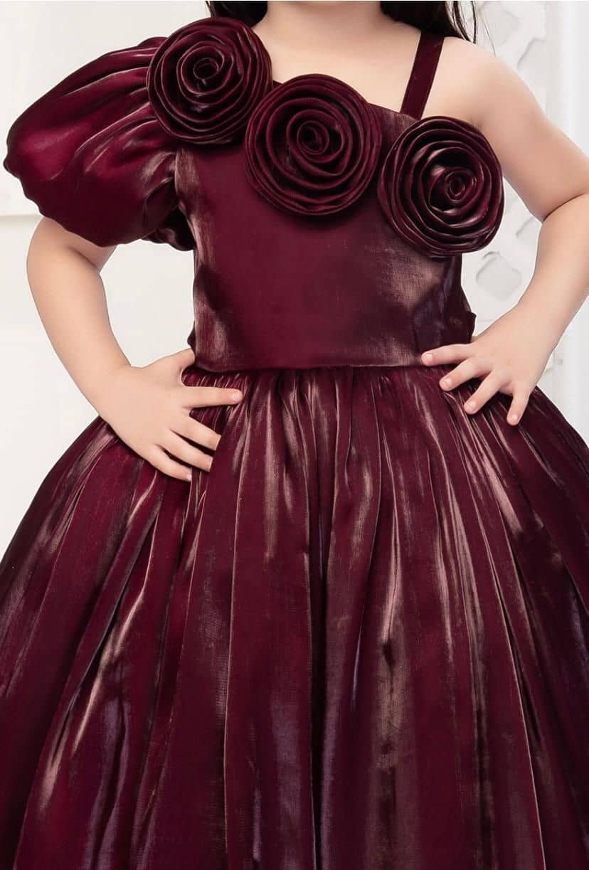 Net Dress For Baby Girls ( Pack of 1 , Maroon ) - Image 4