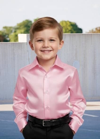 Tiny Troll Pack of 1 Boys Satin Full Sleeves Shirt ( Pink )