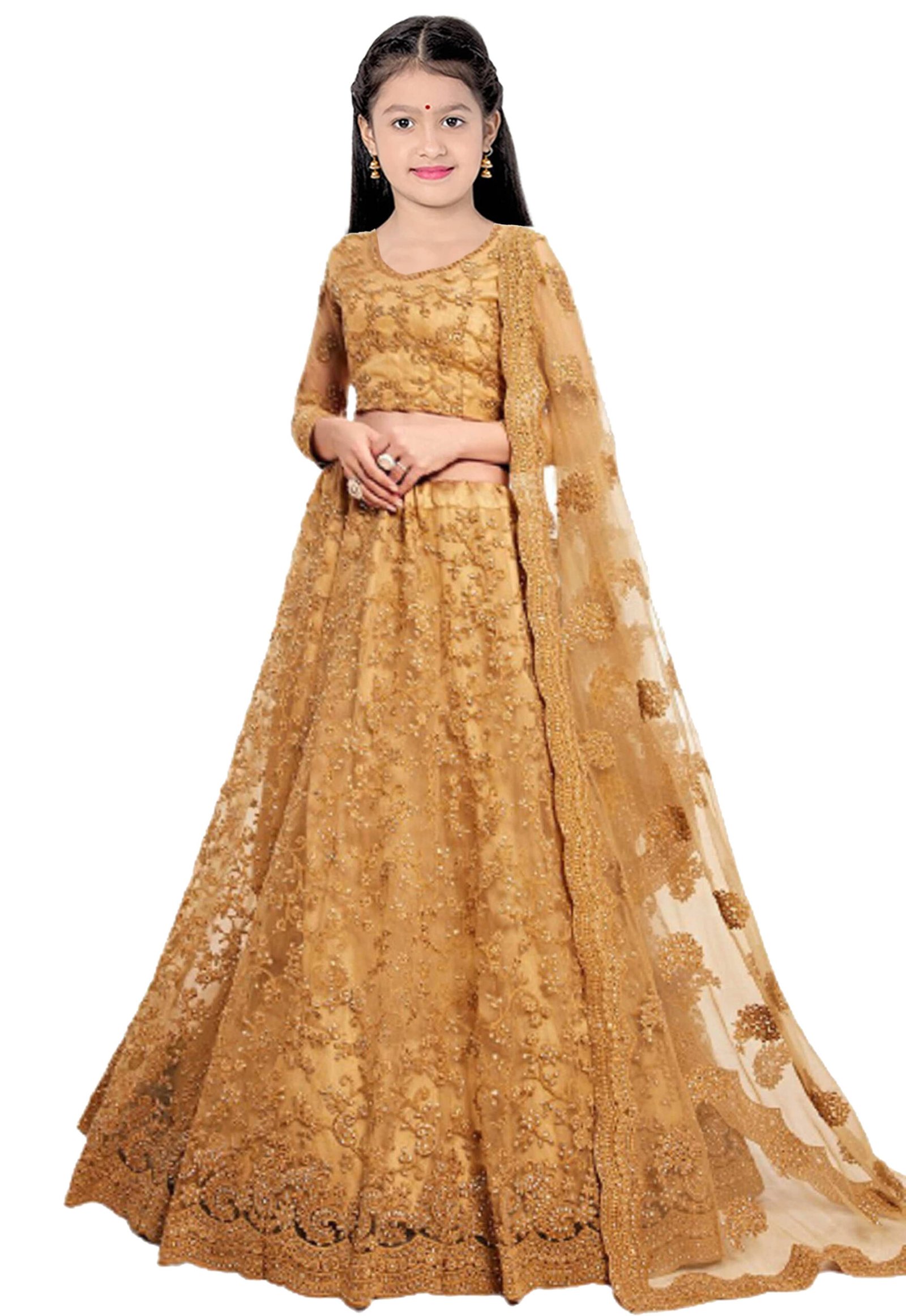 piludi Net Lehenga Choli Set For Girls ( Pack of 1 , Off White )